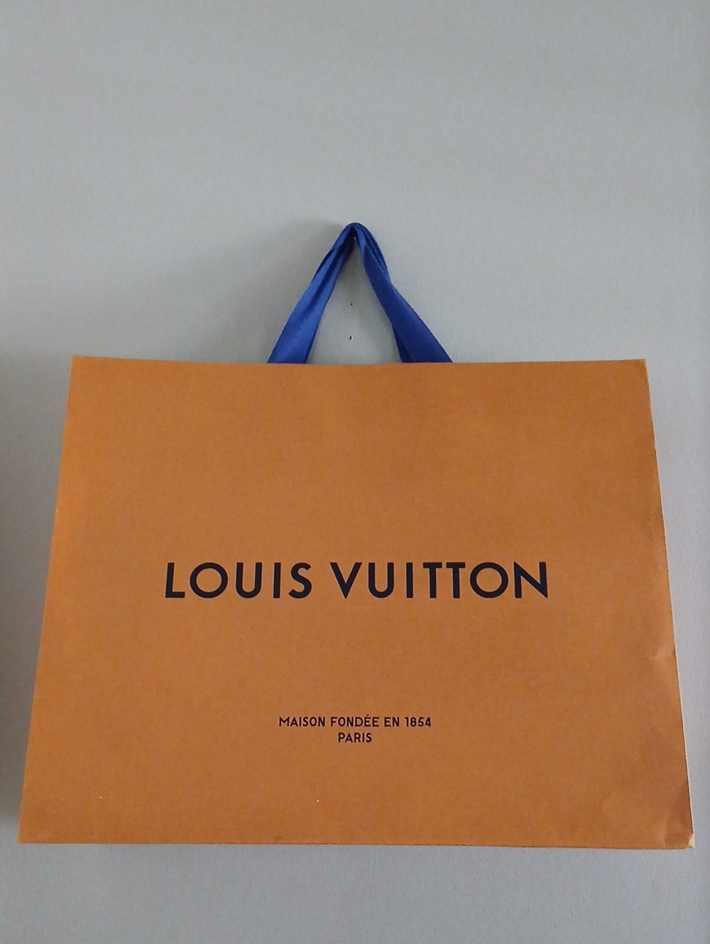 LOUIS VUITTON Large shopping Bag